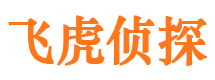 海珠市调查公司